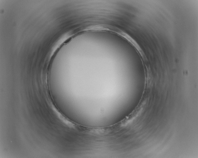 X0000074300909200609151939