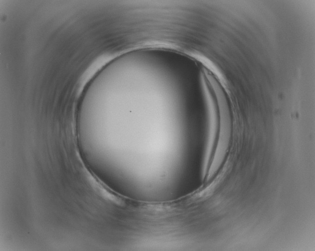 X0000074300910200609151939