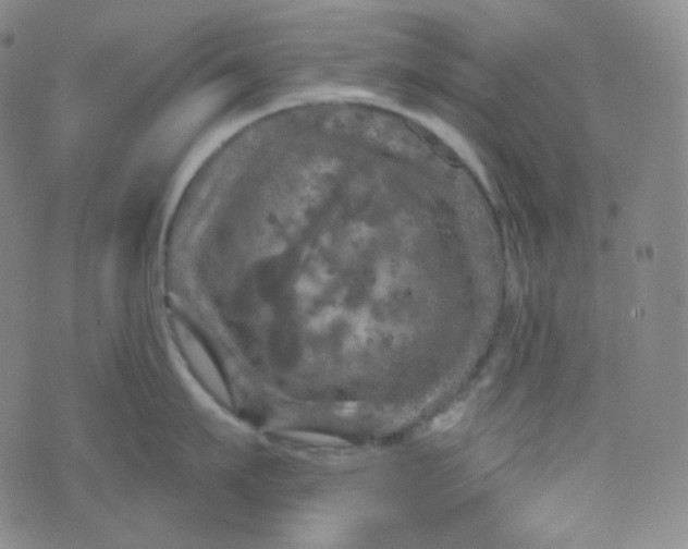 X0000074300911200609151939