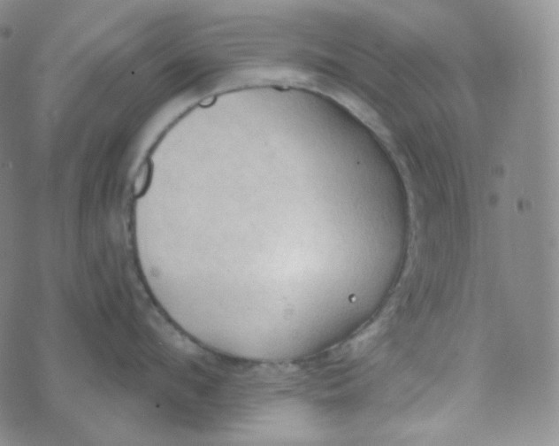 X0000074300912200609151939