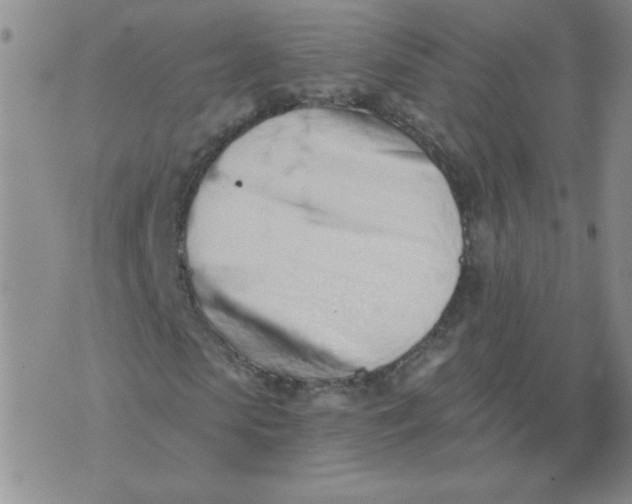 X0000074300913200609151938