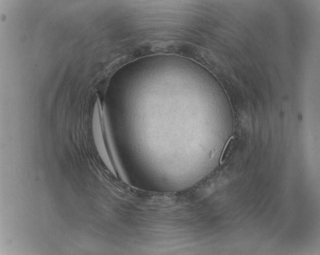 X0000074300914200609151938