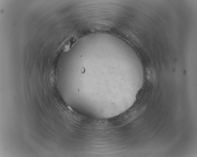 X0000074300915200609151938