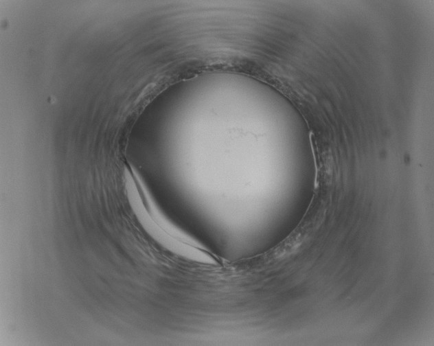 X0000074300916200609151938