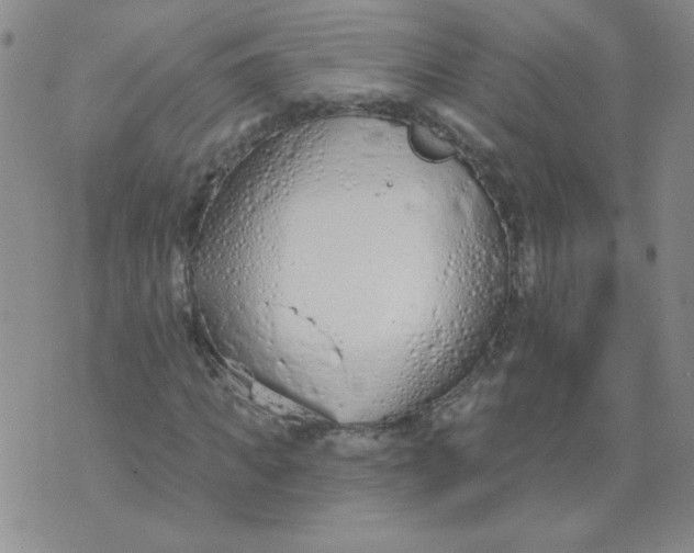 X0000074300917200609151938