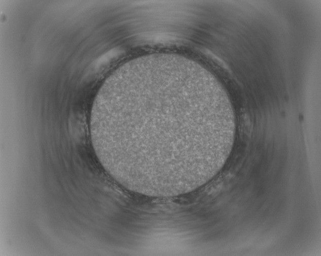 X0000074300918200609151938