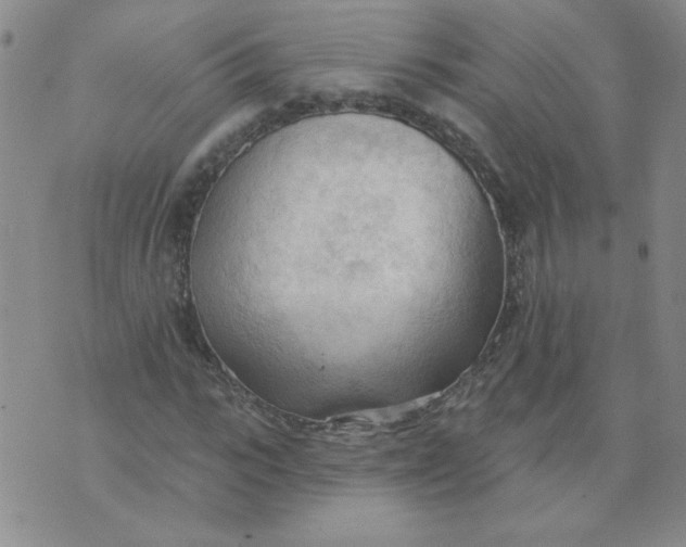 X0000074300919200609151938