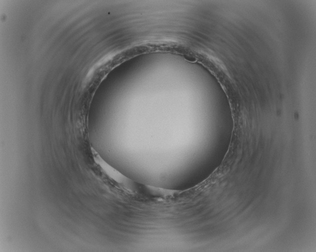 X0000074300920200609151938