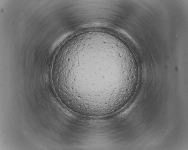 X0000074300921200609151938