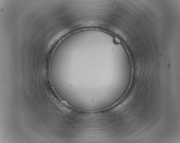 X0000074300922200609151938