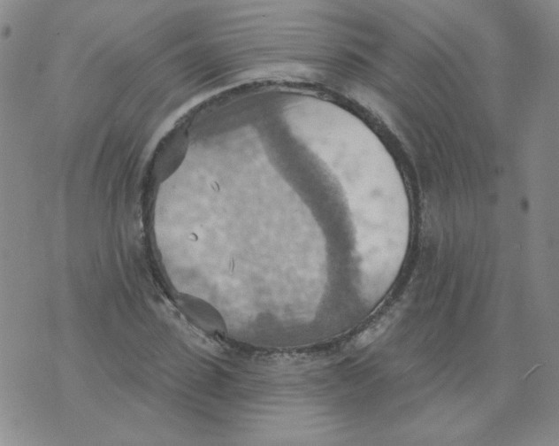 X0000074300923200609151938