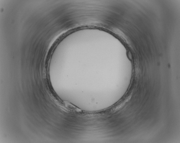 X0000074300924200609151938