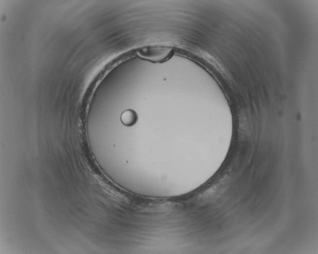 X0000074300926200609151938