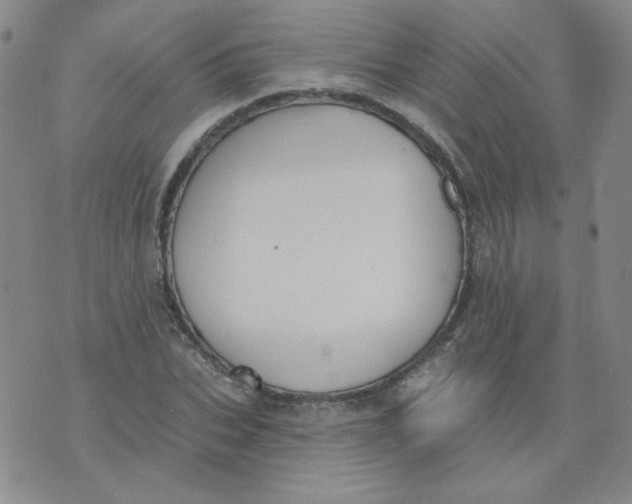 X0000074300927200609151938