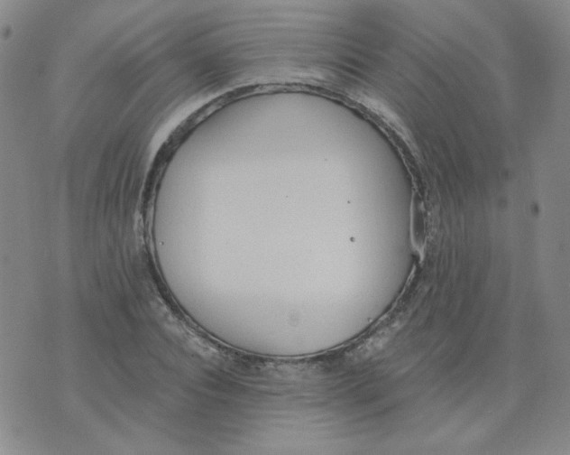 X0000074300928200609151938