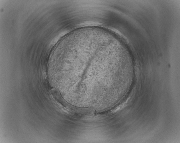 X0000074300929200609151938