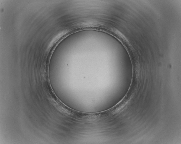 X0000074300930200609151938