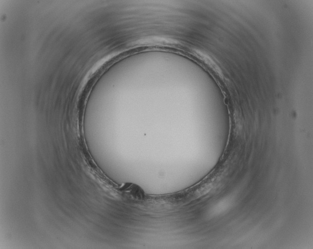 X0000074300931200609151938