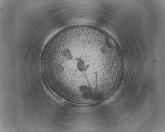 X0000074300933200609151938