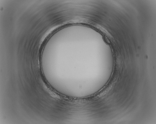 X0000074300934200609151938