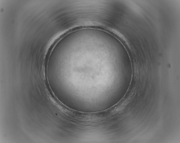 X0000074300935200609151938