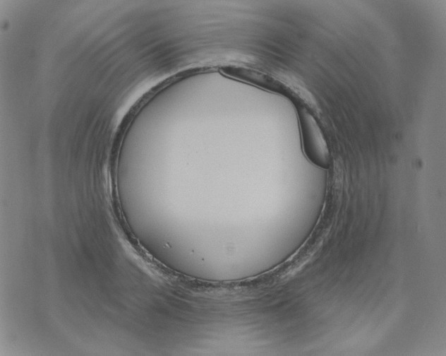 X0000074300936200609151938