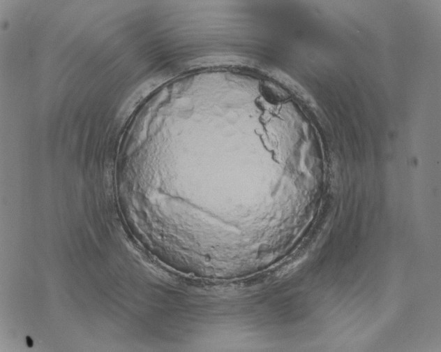 X0000074300937200609151938