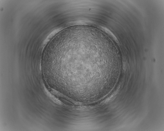 X0000074300938200609151938