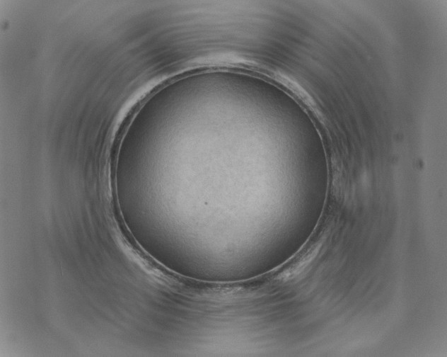 X0000074300939200609151938