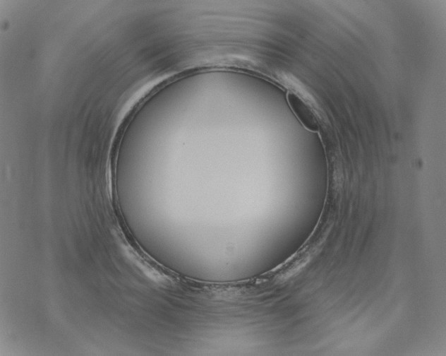 X0000074300940200609151938