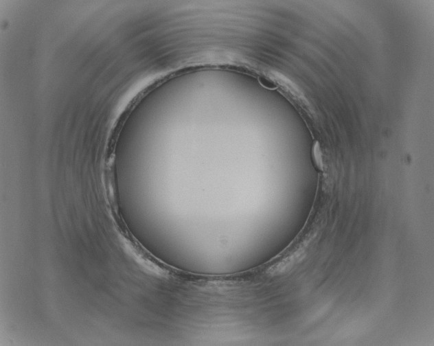 X0000074300942200609151938