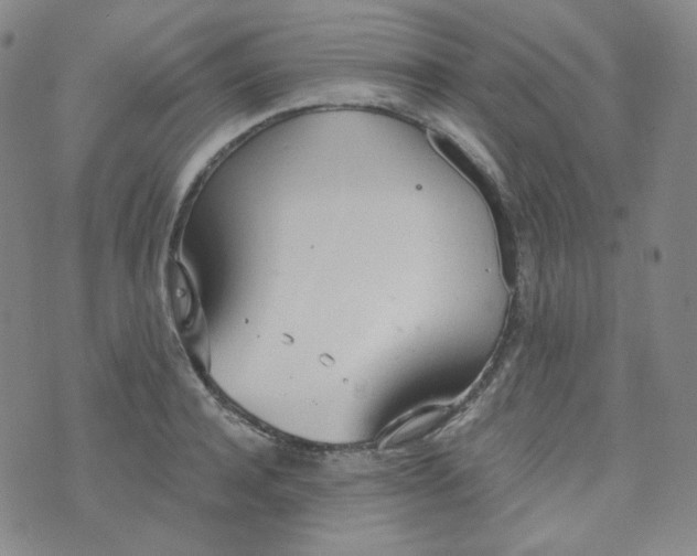 X0000074300944200609151938