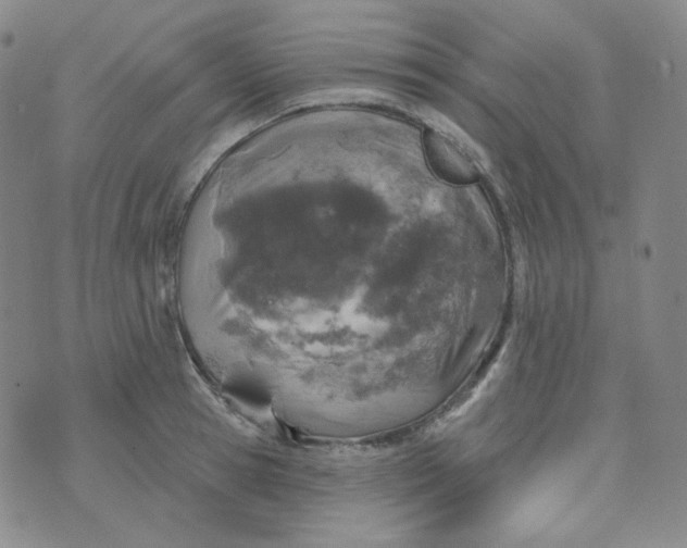 X0000074300945200609151938