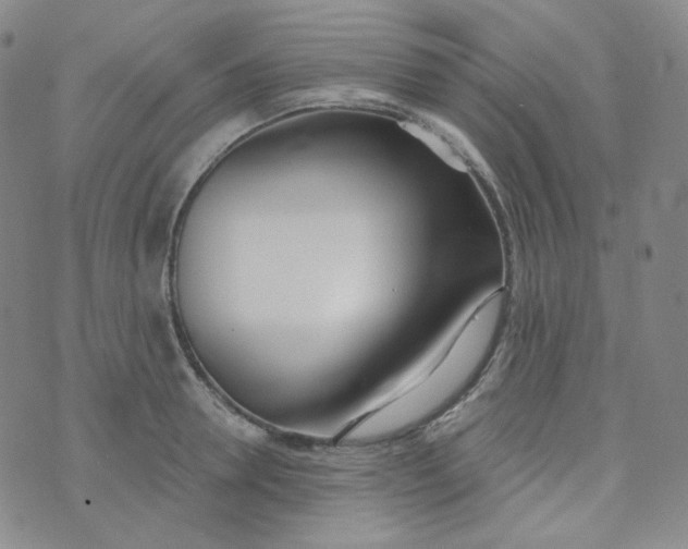 X0000074300946200609151938