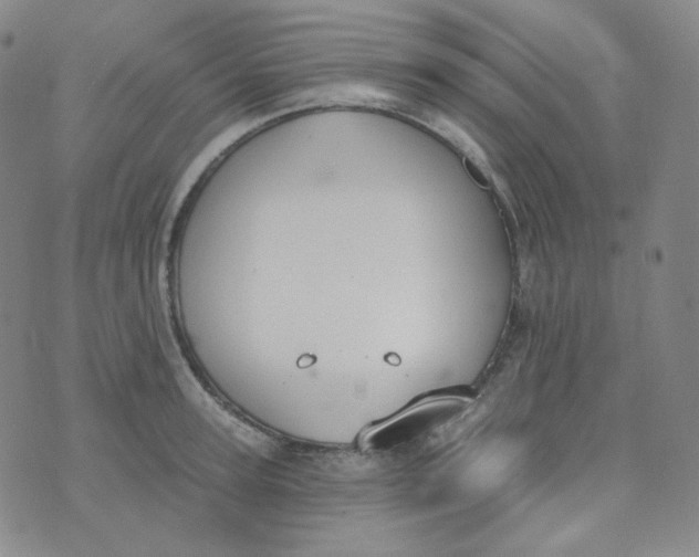 X0000074300947200609151938