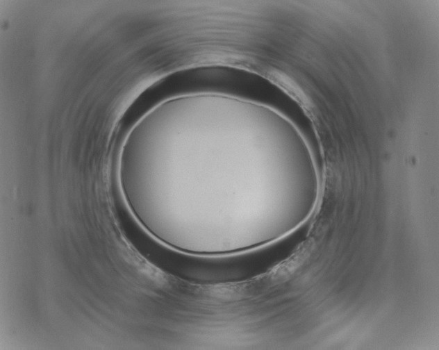 X0000074300948200609151938