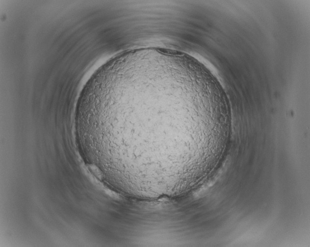 X0000074300949200609151938