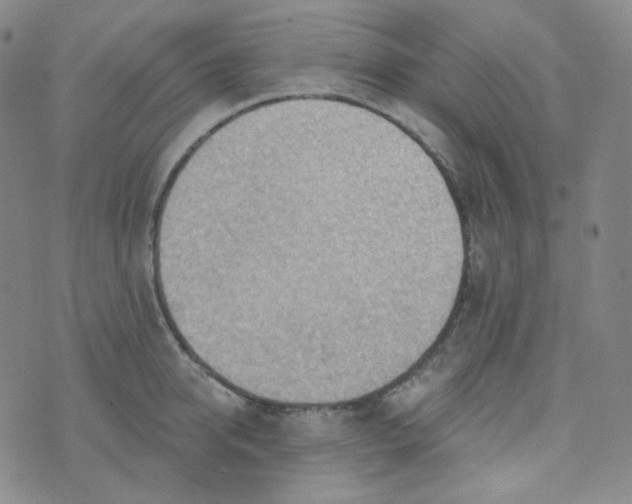 X0000074300950200609151938