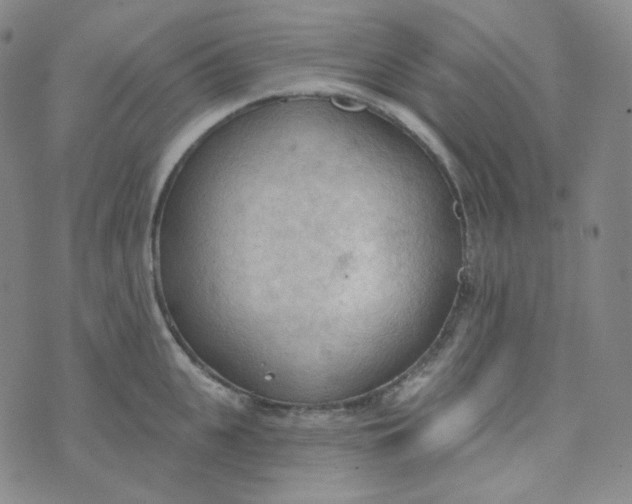 X0000074300951200609151938