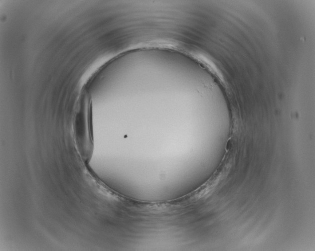 X0000074300952200609151938