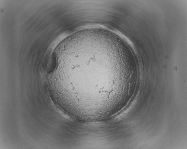 X0000074300953200609151938