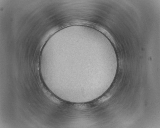 X0000074300954200609151938