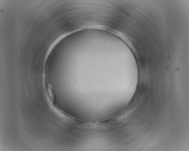 X0000074300955200609151938