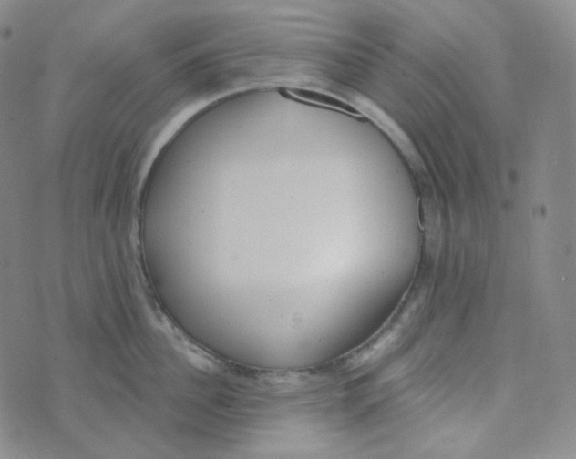 X0000074300956200609151938