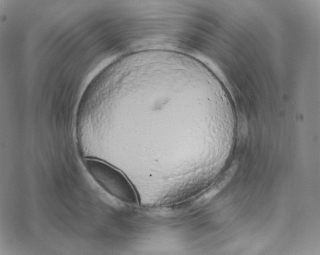 X0000074300957200609151938