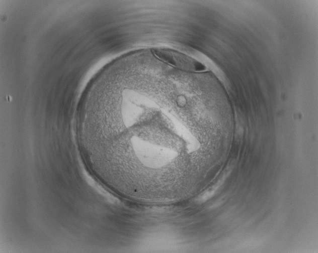 X0000074300958200609151938