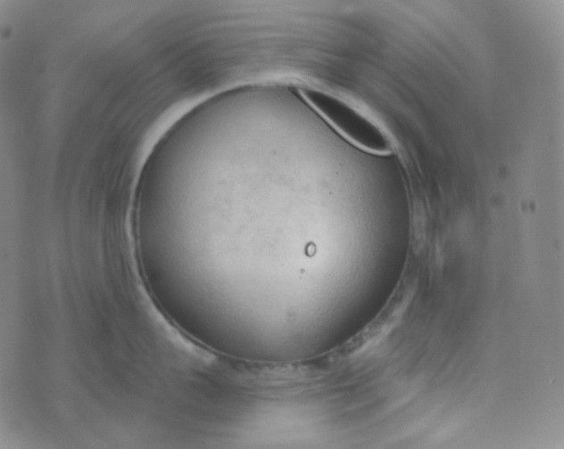 X0000074300959200609151939