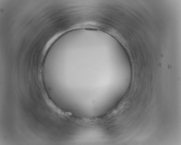 X0000074300960200609151939