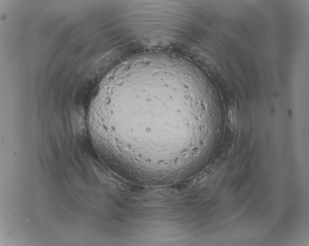 X0000074300963200609151938