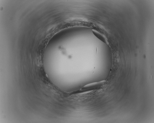 X0000074300965200609151938